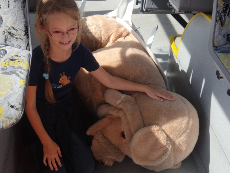 DVB Verkehrserziehung 2308 murphy