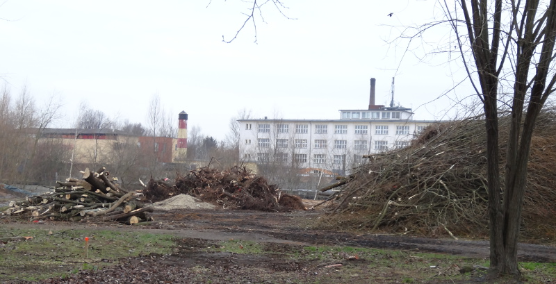 Hier war der Segway-Park