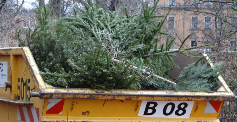 Weihnachtsbaum entsorgen Container