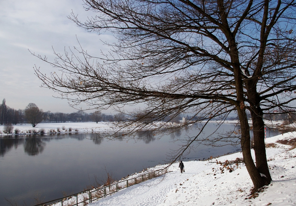 Elbfähre Weg zum Fähranleger 2010