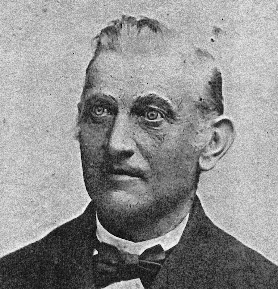 trachau schule mildner