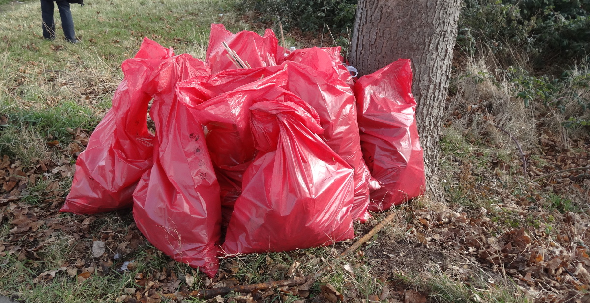 Elbwiesenreinigung 1304