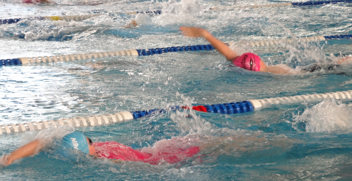 schwimmhalle pieschen neustadt