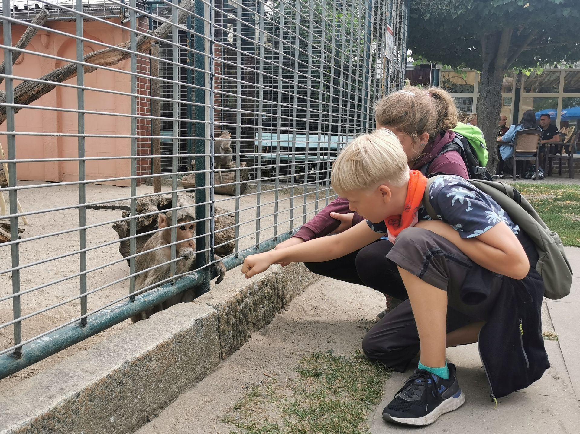 Die Ferienfahrten bieten Gelegenheit zu Begegnungen mit Mensch und Tier. Foto: Roter Baum e.V.