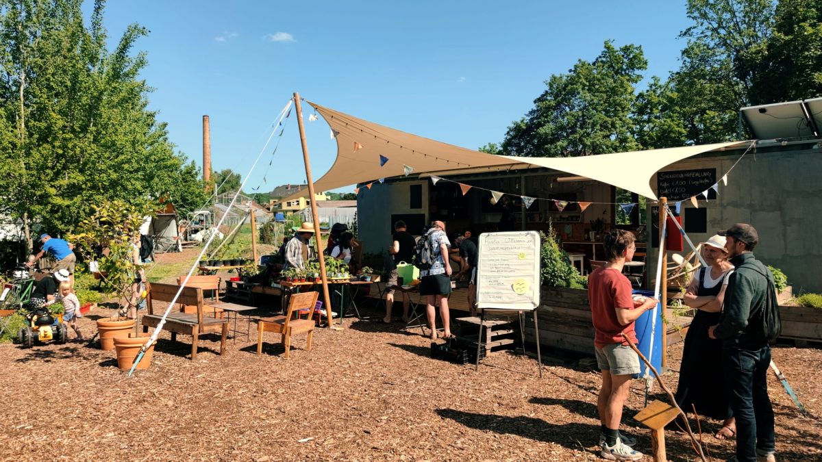 Pflanzentauschbörse unterm Sonnensegel - Foto: Maren Kaster