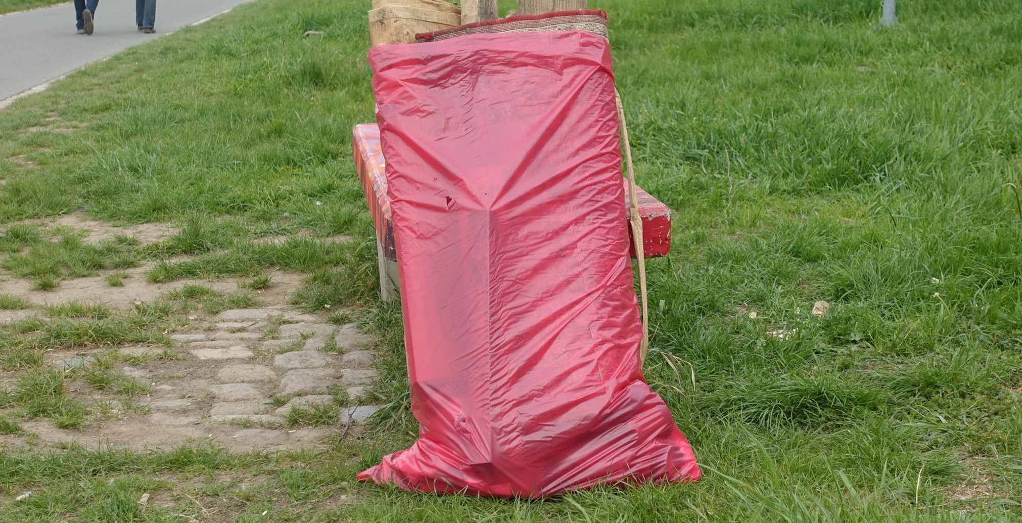 Elbwiesenreinigung 1103