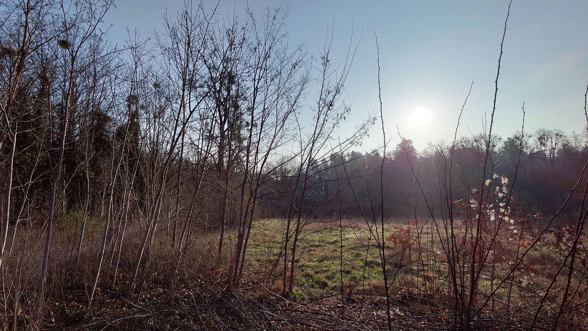 Auf diesem Gelände an der Radeburger Straße soll der Gedenkort für das "Judenlager Hellerberge" erinnern. Foto: J. Frintert