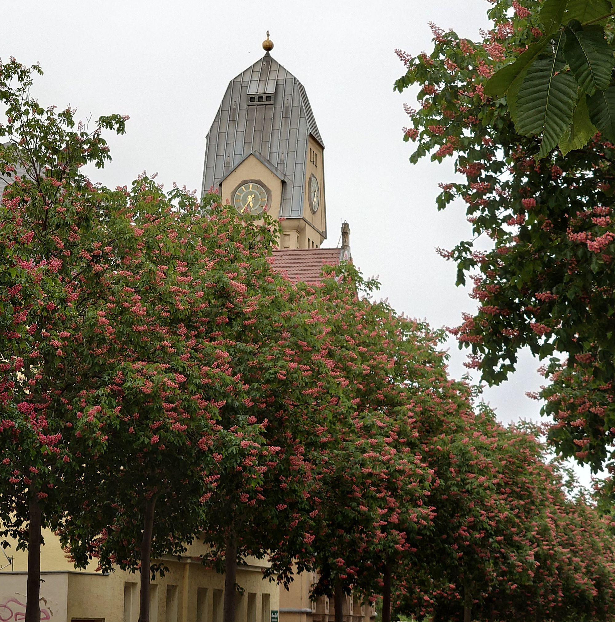 Katholische Kirche St. Josef - Foto: J. Frintert