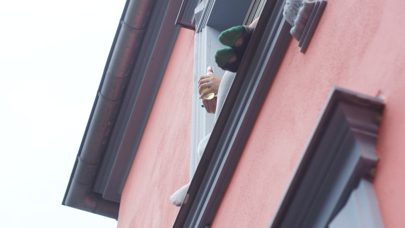 Fensterbrettpublikum