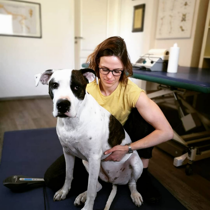 Mit Sachverstand und Tierliebe widmet sich die Hunde-Osteopathin den Vierbeinern in der "Dogreha". Foto: Patricia Franetovic