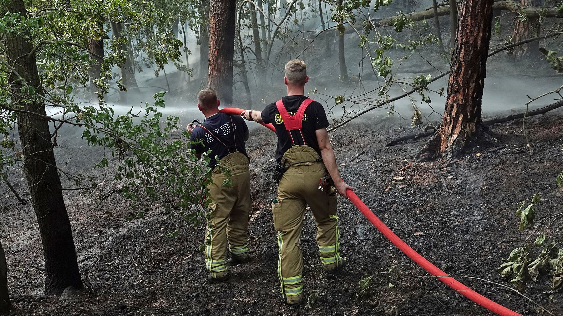 Feuerwehreinsatz in der "Jungen Heide" - Foto: R. Halkasch