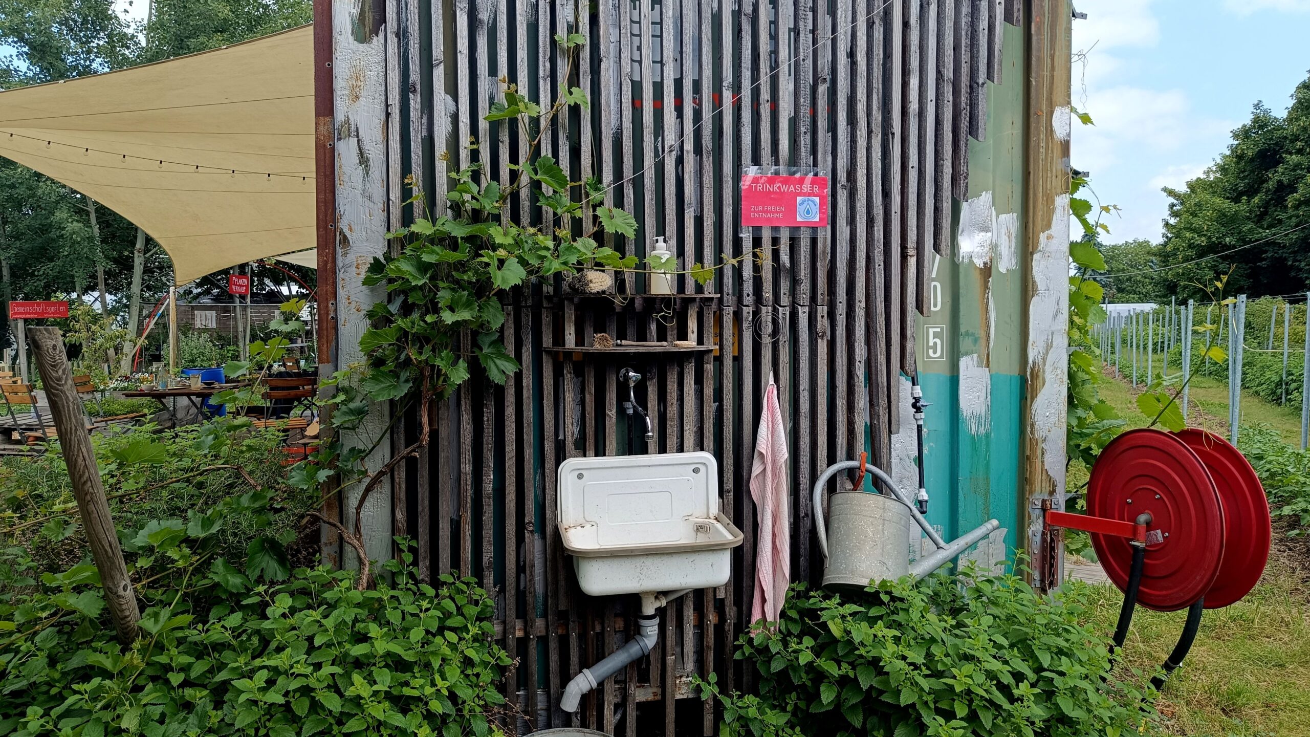 Blick auf die barrierefreie Komposttoilette, in der allerlei Veranstaltungsinspirationen zu finden sind.