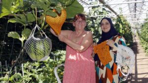 Silvia Benaoda und Mervat Shraif vom Verein "Jugend - Arbeit - Bildung" haben die Kürbisse mit Hilfe der "schnellen Häkelgruppe" gerettet. Foto: Sabine Mutschke
