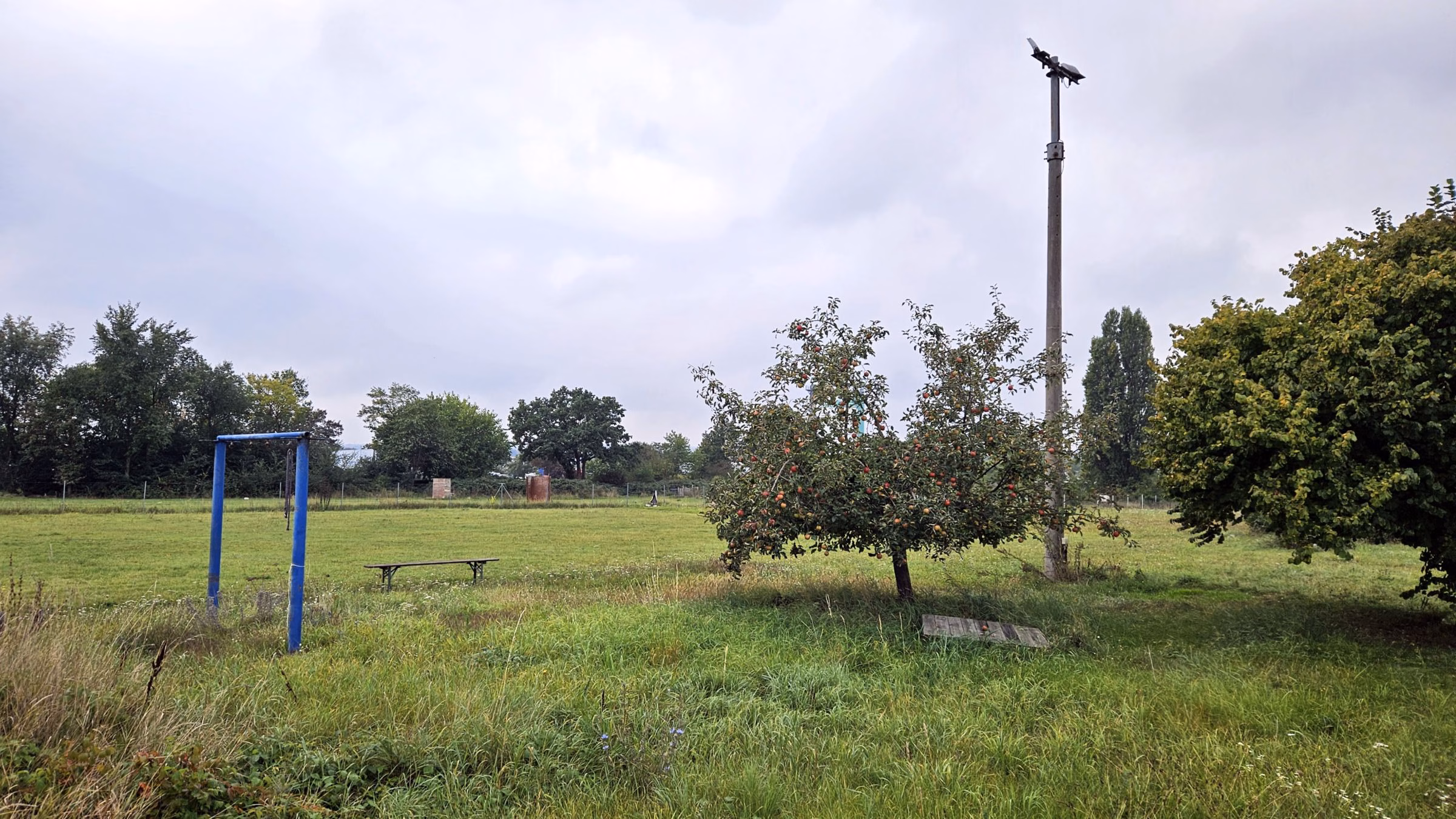 Die Fläche des Hundesportplatzes soll für das Flusswasserwerk genutzt werden. Foto: J. Frintert