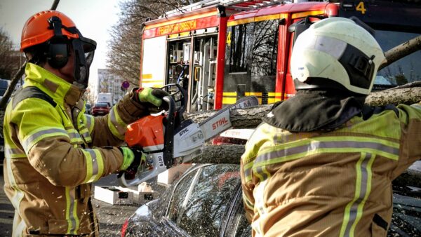 Symbolbild: Feuerwehrleute zerkleinern einen umgestürzten Baum. Foto: Feuerwehr/R. Halkasch