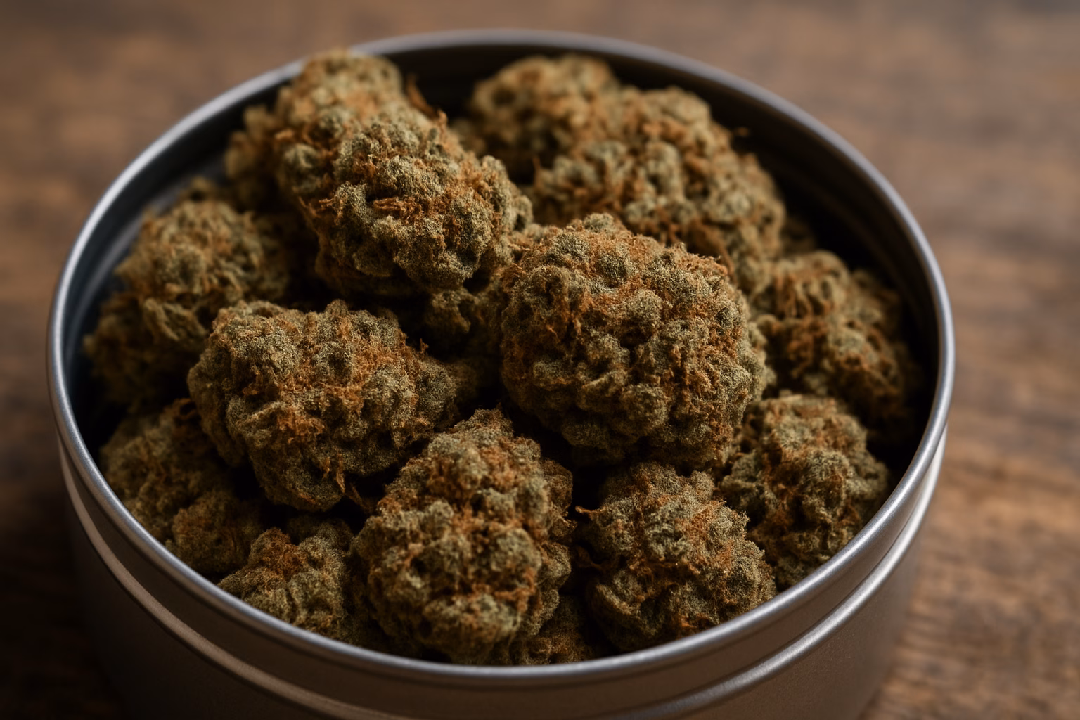 Getrocknete Cannabis-Pflanzen in einer Dose. Foto: KI