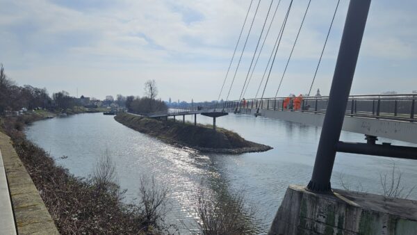Das WSA hat mehr zurückgeschnitten, als vereinbart. Foto: J. Frintert