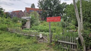 Ufer-Projekte feiern 15 Jahre Gemeinschaftsgärten Gemeinschaftsgarten der Ufer-Projekte in Pieschen - Foto: J. Frintert