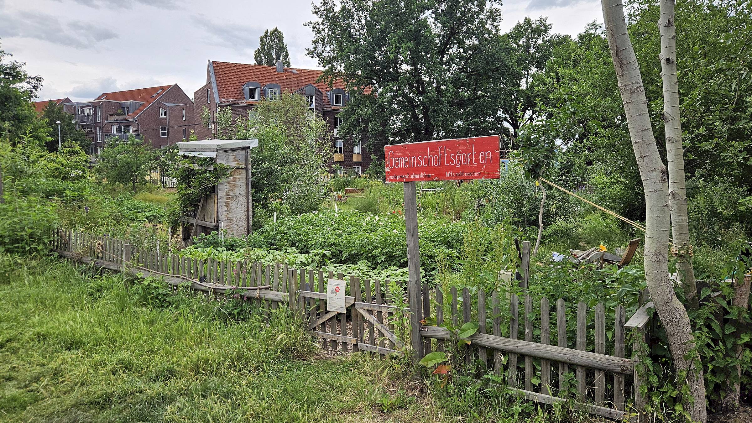Gemeinschaftsgarten der Ufer-Projekte in Pieschen - Foto: J. Frintert