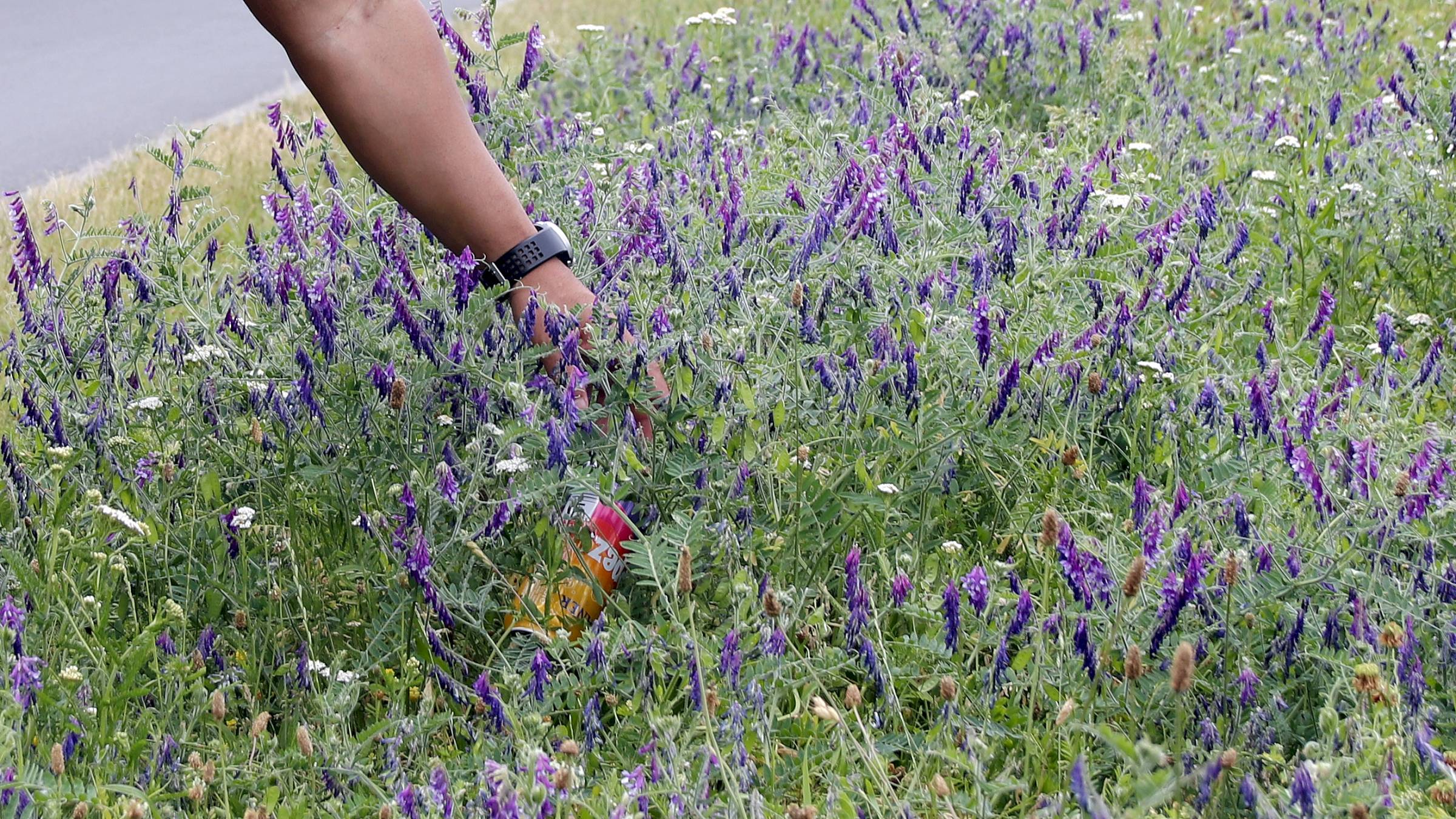 Zimmermanns findet Pfand auch im hohen Gras. Foto: J. Frintert
