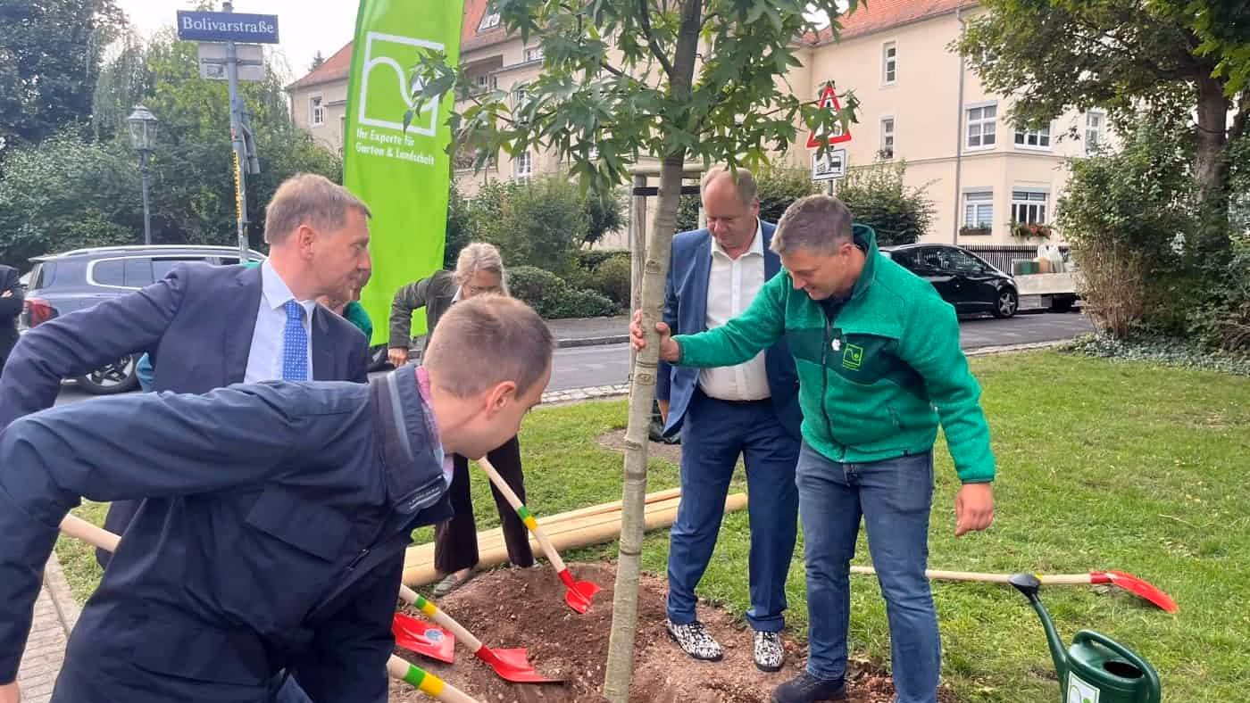 Baumpflanzung an der Bolivarstraße in Trachau. Foto: Cornelius de Haas